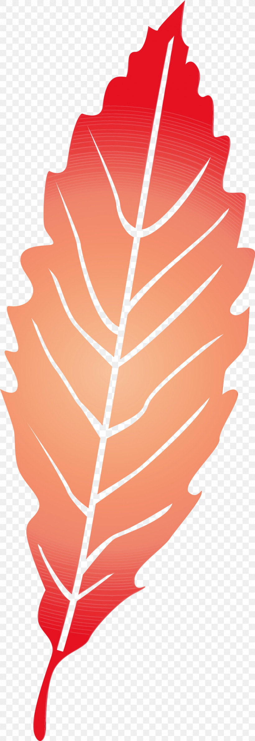 Leaf Petal Meter Line Tree, PNG, 1035x3000px, Leaf, Biology, Flower, Geometry, Line Download Free