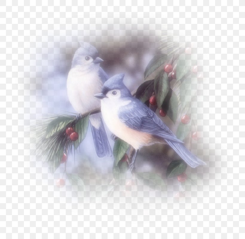 Bird Painting Painter Art, PNG, 800x800px, Bird, Art, Artist, Beak, Blue Jay Download Free