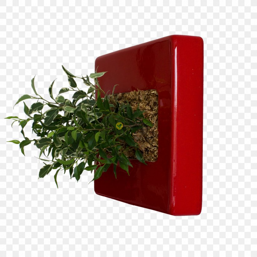 Herb Flowerpot Rectangle, PNG, 1000x1000px, Herb, Flowerpot, Plant, Rectangle Download Free