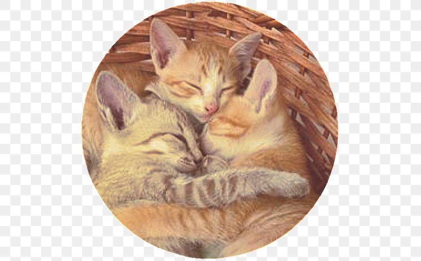 Kitten Cat Behavior Hug Cuteness, PNG, 510x508px, Watercolor, Cartoon, Flower, Frame, Heart Download Free