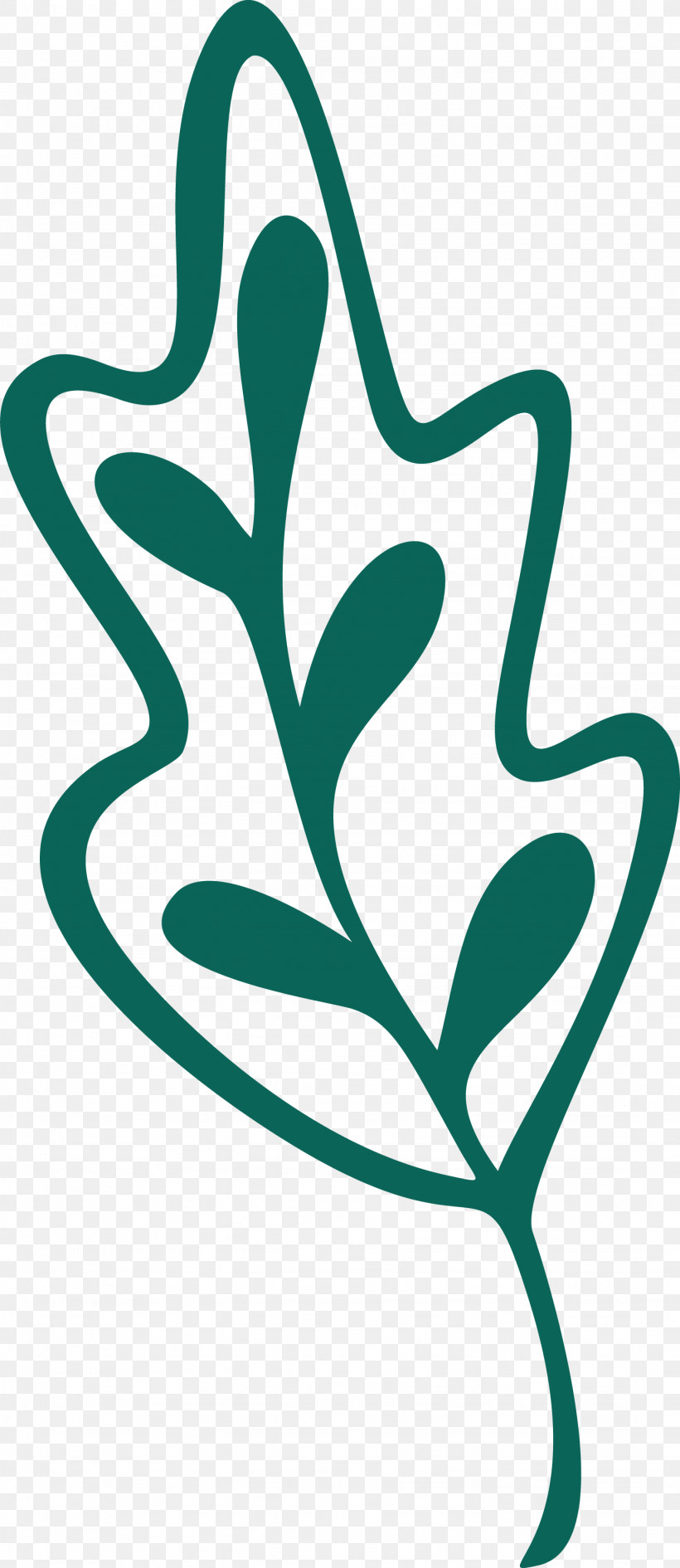 Leaf Plant Stem M-tree Flower Teal, PNG, 1436x3310px, Leaf, Area, Biology, Flower, Line Download Free