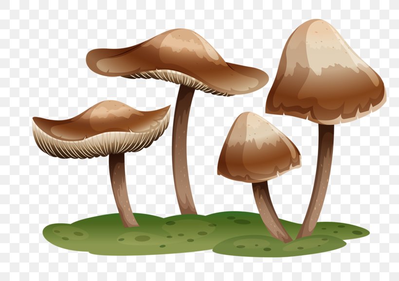 Mushroom Grey Download Food, PNG, 800x578px, Mushroom, Cartoon, Designer, Food, Furniture Download Free