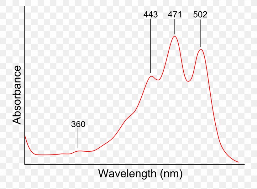 Ultraviolet–visible Spectroscopy Organic Spectroscopy Light, PNG, 1280x942px, Spectroscopy, Absorption, Area, Diagram, Electromagnetic Spectrum Download Free