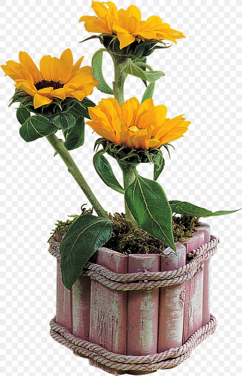 Flowerpot Vase Clip Art, PNG, 1115x1730px, Flower, Common Sunflower, Cut Flowers, Floral Design, Floristry Download Free