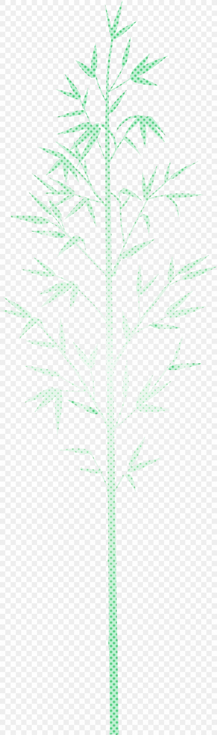 Bamboo Leaf, PNG, 885x2999px, Bamboo, American Larch, Branch, Flower, Grass Download Free