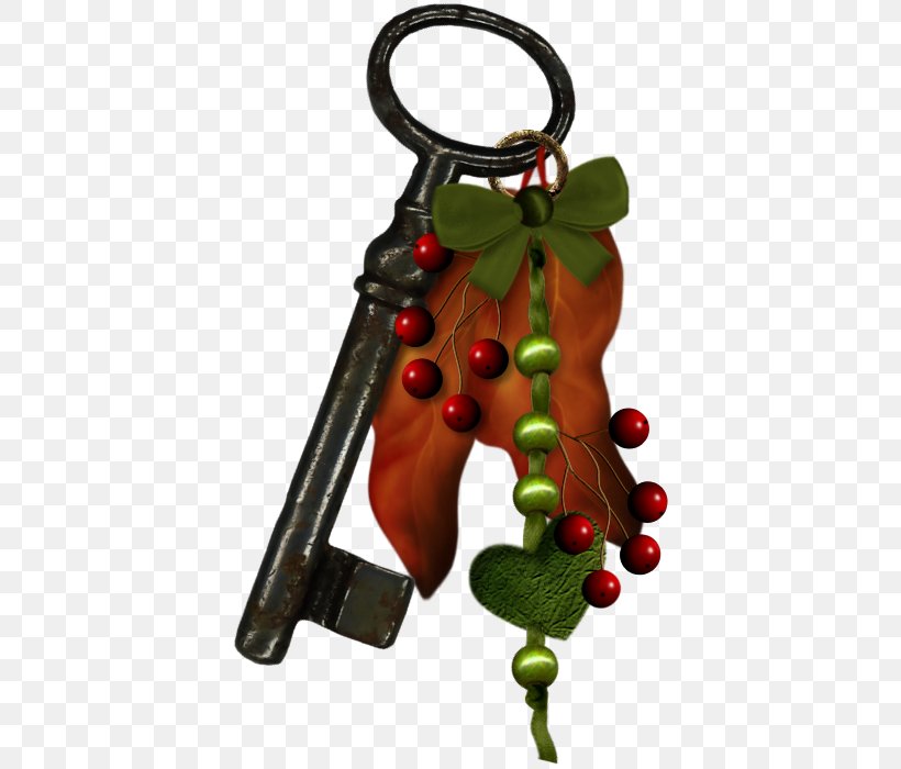 Christmas Ornament Key Chains Egypt Internet Forum Website, PNG, 700x700px, Christmas Ornament, Christmas Day, Communication, Control Panel, Egypt Download Free