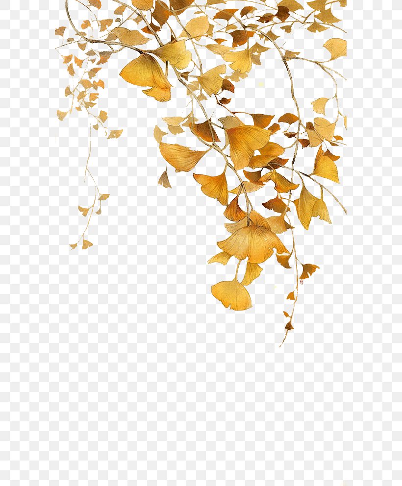 Leaf Ginkgo Biloba Icon, PNG, 595x992px, Ginkgo Biloba, Autumn, Branch, Floral Design, Flower Download Free