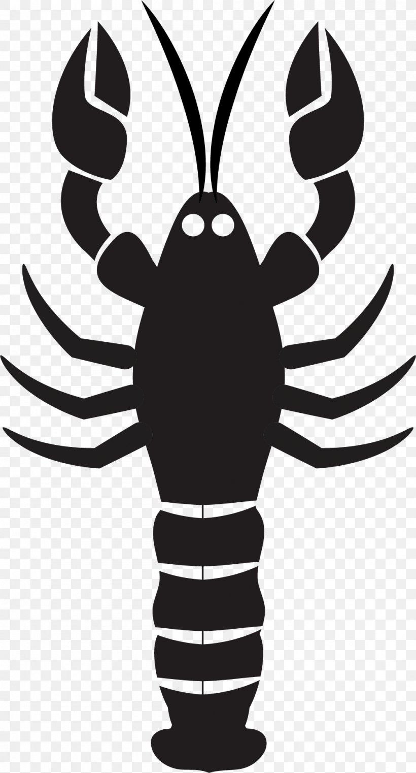 Lobster Mussel Seafood, PNG, 1001x1859px, Lobster, American Lobster, Black And White, Drawing, Fish Download Free