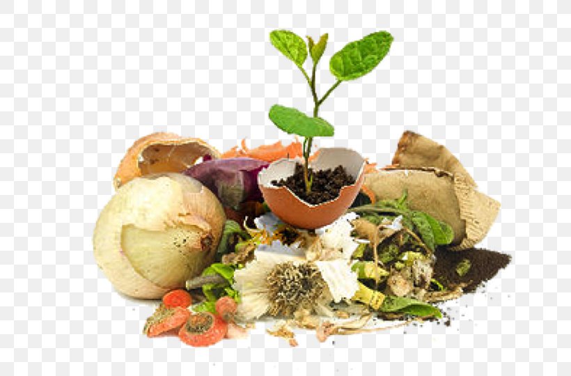 Organic Food Food Waste Compost, PNG, 653x540px, Organic Food, Appetizer, Compost, Cuisine, Dish Download Free