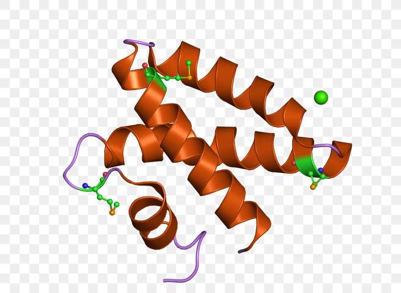 Prosaposin Saposin Protein Domain Glycoprotein Gene, PNG, 800x600px, Prosaposin, Acronym, Amine, Boron, Gene Download Free