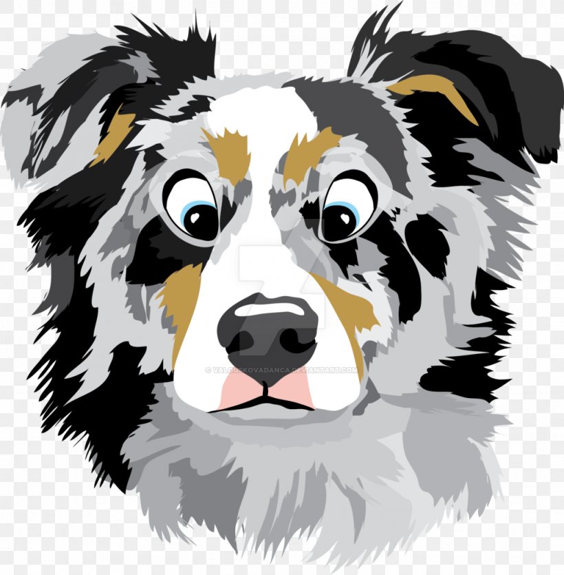 Border Collie Australian Shepherd Bernese Mountain Dog Puppy Rough Collie, PNG, 1024x1043px, Border Collie, Animal, Australian Shepherd, Bernese Mountain Dog, Canidae Download Free