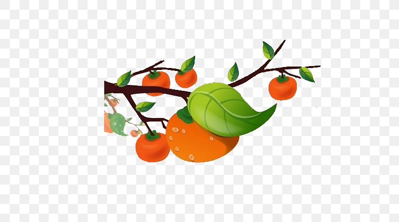 Cartoon Child Illustration, PNG, 702x457px, Persimmon, Branch, Cherry, Food, Fruit Download Free