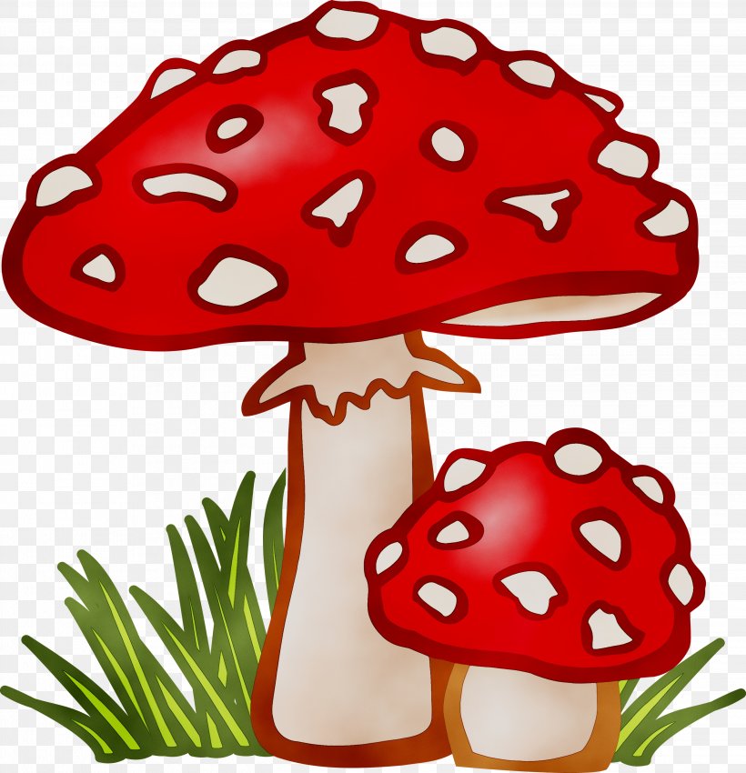 Clip Art Common Mushroom Vector Graphics Fungus, PNG, 2894x3000px, Mushroom, Agaric, Aspen Mushroom, Brown Cap Boletus, Common Mushroom Download Free