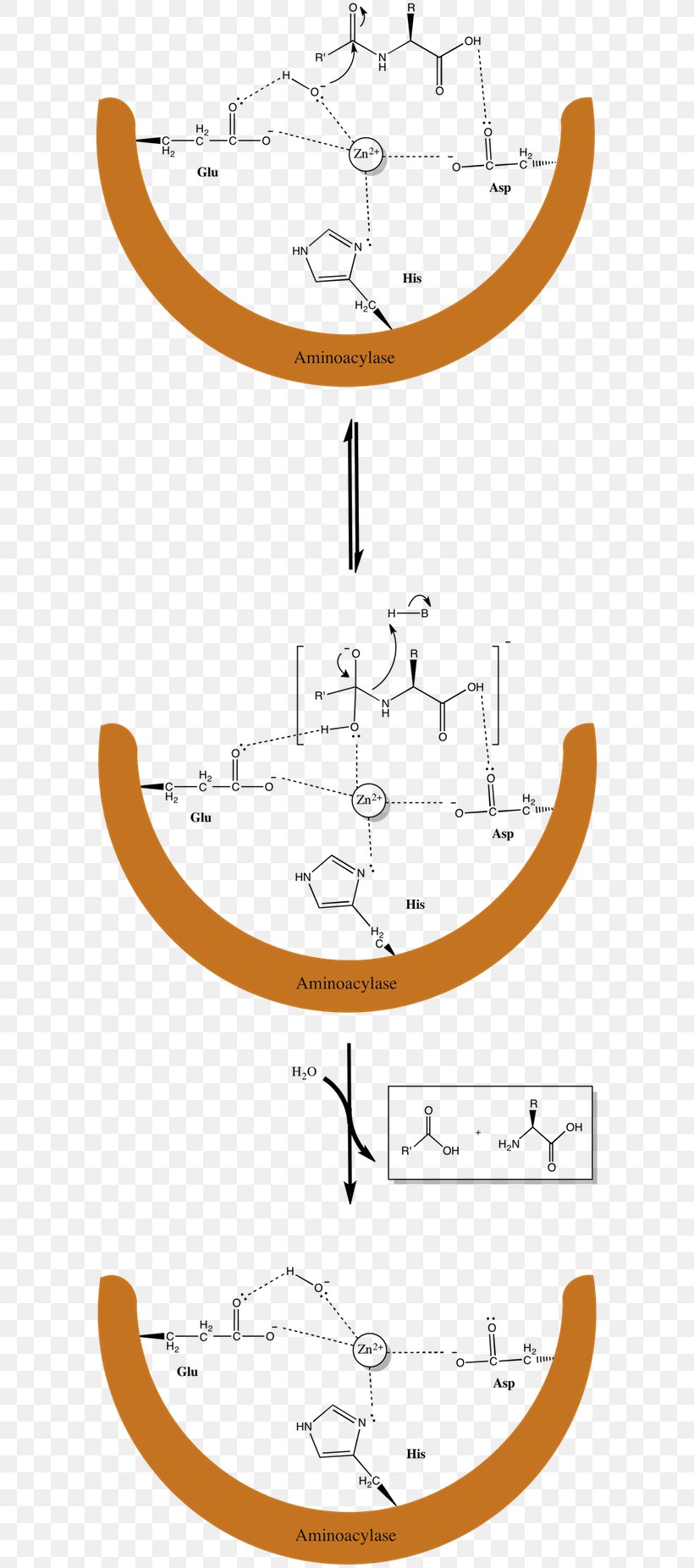 Drawing Line Point Angle, PNG, 600x1853px, Drawing, Animal, Area, Boat, Diagram Download Free