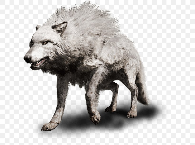 Far Cry Primal PlayStation 4 Far Cry 4 Gray Wolf, PNG, 621x609px, Far Cry Primal, Bear, Carnivoran, Cave Wolf, Dire Wolf Download Free