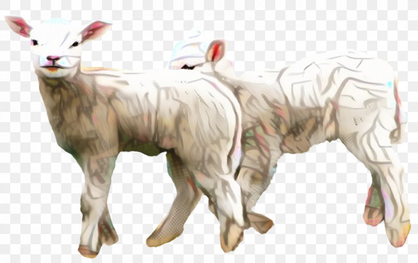 Clip Art Lamb And Mutton Merino Image, PNG, 1596x1007px, Lamb And Mutton, Animal Figure, Baby Lamb, Bovine, Cowgoat Family Download Free