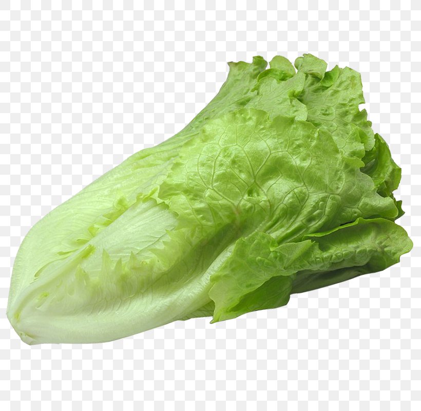 Romaine Lettuce Barbecue Vegetable, PNG, 800x800px, Romaine Lettuce, Barbecue, Cookie, Food, Health Download Free
