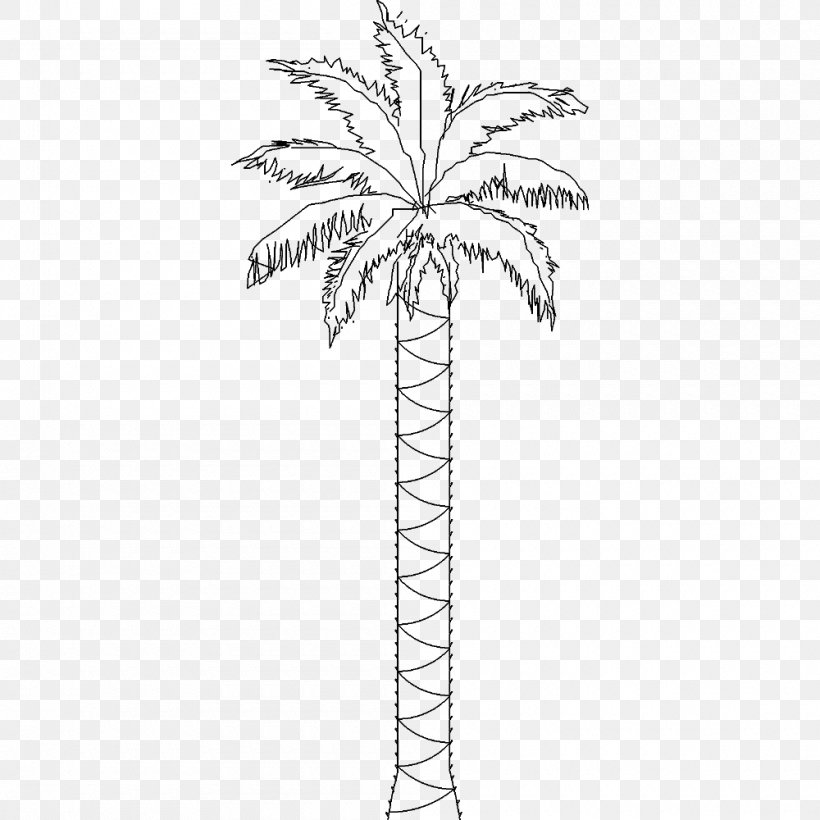 Twig Arecaceae Date Palm Plant Stem Leaf, PNG, 1000x1000px, Twig, Arecaceae, Arecales, Black And White, Branch Download Free