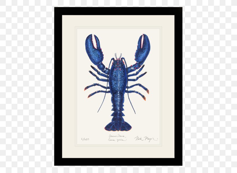 American Lobster Illustrator Art, PNG, 505x600px, Lobster, American Lobster, Animal Source Foods, Art, Artist Download Free