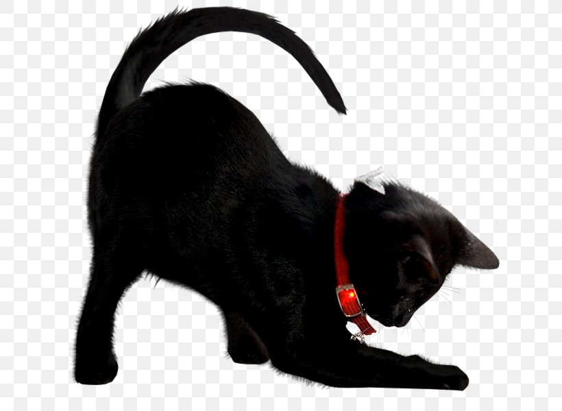Cat Kitten Clip Art, PNG, 648x600px, Cat, Animation, Black Cat, Carnivoran, Cat Like Mammal Download Free