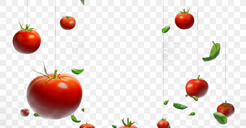 Cherry Tomato Hamburger Vegetable, PNG, 1400x731px, Vegetable, Apple, Cherry Tomato, Diet Food, Food Download Free
