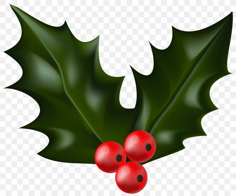 Common Holly Christmas Decoration Clip Art, PNG, 6000x4982px, Common Holly, Aquifoliaceae, Aquifoliales, Christmas, Christmas Decoration Download Free