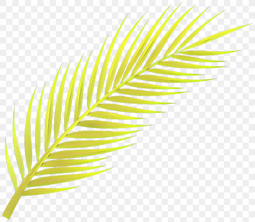 Feather, PNG, 2000x1746px, Feather, Green, Leaf, Line, Natural Material Download Free