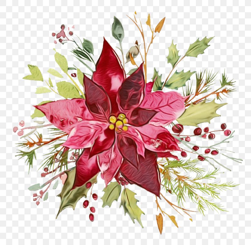 Flower Plant Pink Poinsettia Leaf, PNG, 800x800px, Watercolor, Bouquet, Cut Flowers, Flower, Leaf Download Free