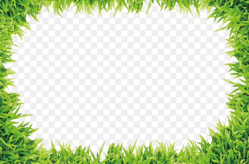Lawn Download Image File Formats, PNG, 4100x2700px, Lawn, Display Resolution, Grass, Green, Image File Formats Download Free