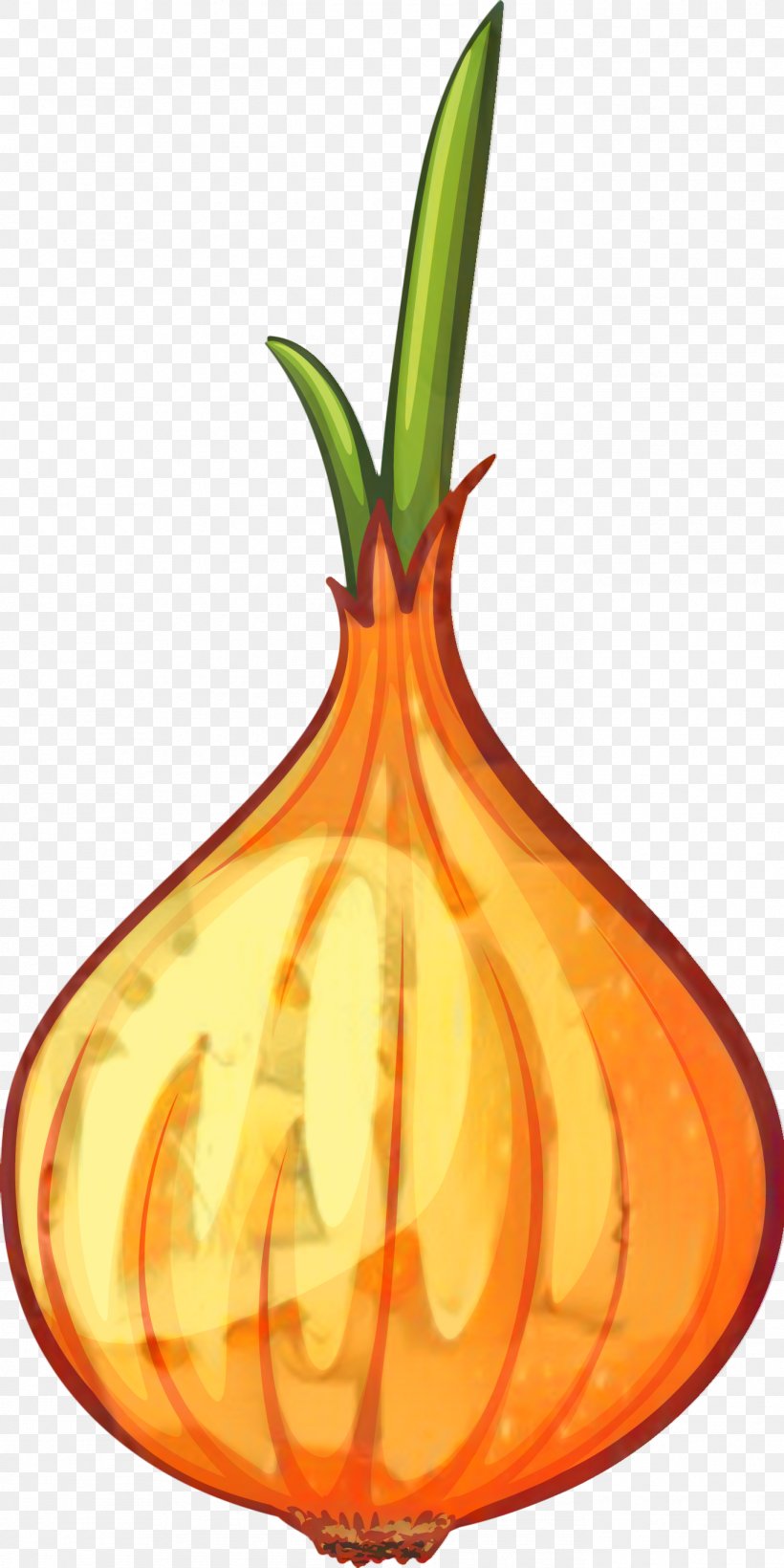 Pumpkin Gourd Calabaza Winter Squash, PNG, 1370x2740px, Pumpkin, Allium, Amaryllis Family, Calabaza, Flower Download Free