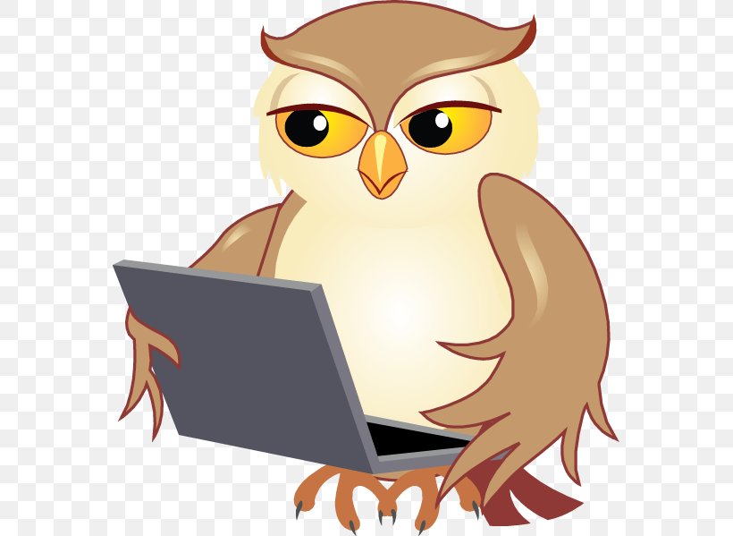 Android Computer Software Grammar Information, PNG, 567x599px, Android, Antivirus Software, Beak, Bird, Bird Of Prey Download Free