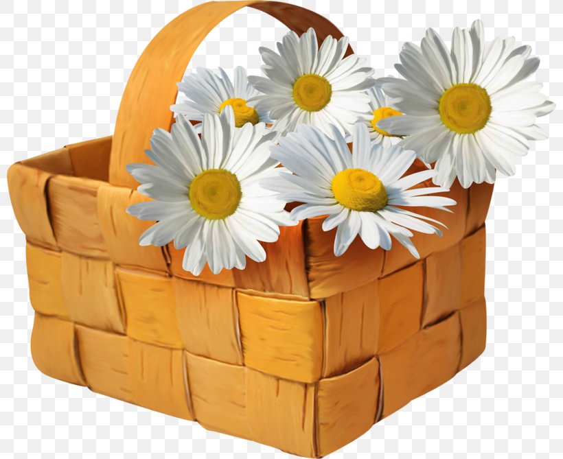 Basket Flower Clip Art, PNG, 800x669px, Basket, Box, Channel, Common Daisy, Cut Flowers Download Free