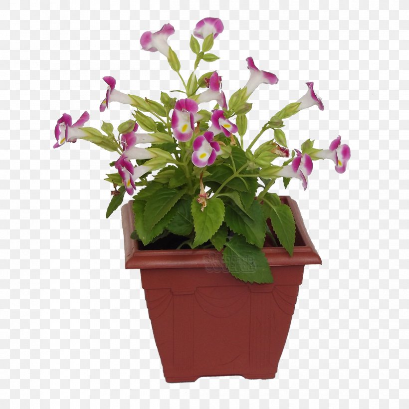 Flowerpot Ceramic Violet Color Centimeter, PNG, 1250x1250px, Flowerpot, Annual Plant, Centimeter, Ceramic, Color Download Free