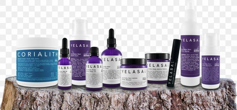 Hair Cosmetics YELASAI GmbH Cosmetologist, PNG, 861x402px, Hair, Beauty, Beauty M Kosmetik, Cosmetics, Cosmetologist Download Free