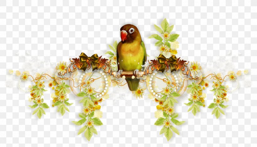 Picture Frames Photography Clip Art, PNG, 1006x579px, Picture Frames, Beak, Bird, Branch, Fauna Download Free