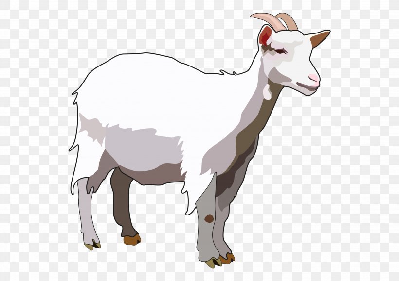 Sheep Ahuntz Canary Islands Majorera Canary Island Goat, PNG, 3508x2480px, Sheep, Ahuntz, Animal Figure, Area, Cabrito Download Free