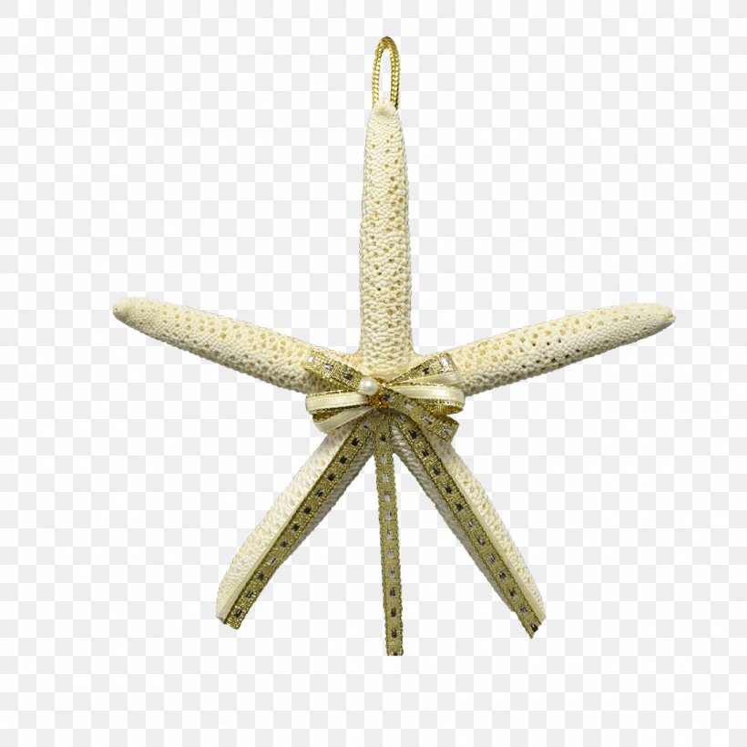 Starfish Christmas, PNG, 1100x1100px, Starfish, Christmas, Christmas And Holiday Season, Echinoderm, Holiday Download Free