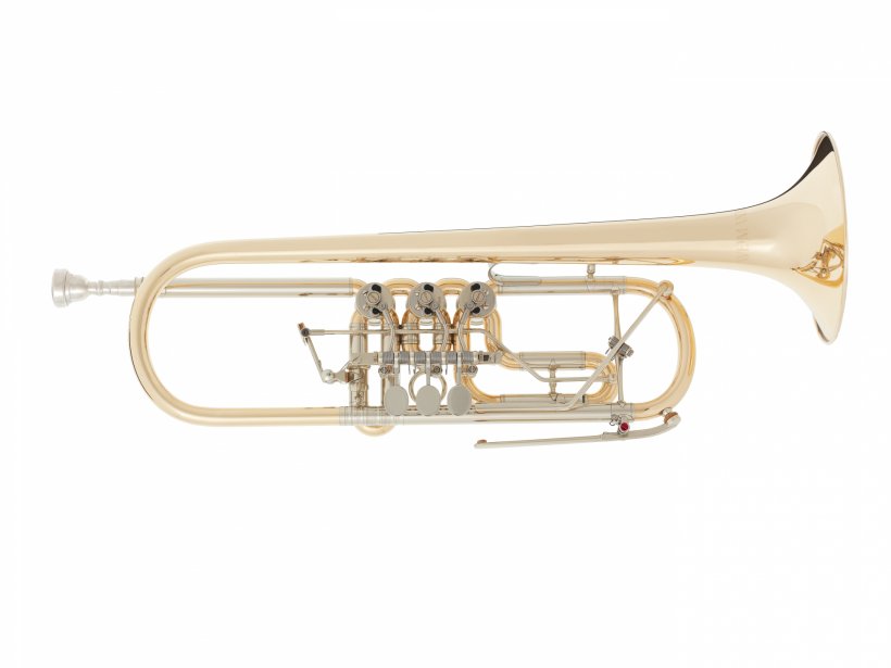 Trumpet Brass Instruments Musical Instruments Flugelhorn Saxhorn, PNG, 1920x1440px, Watercolor, Cartoon, Flower, Frame, Heart Download Free