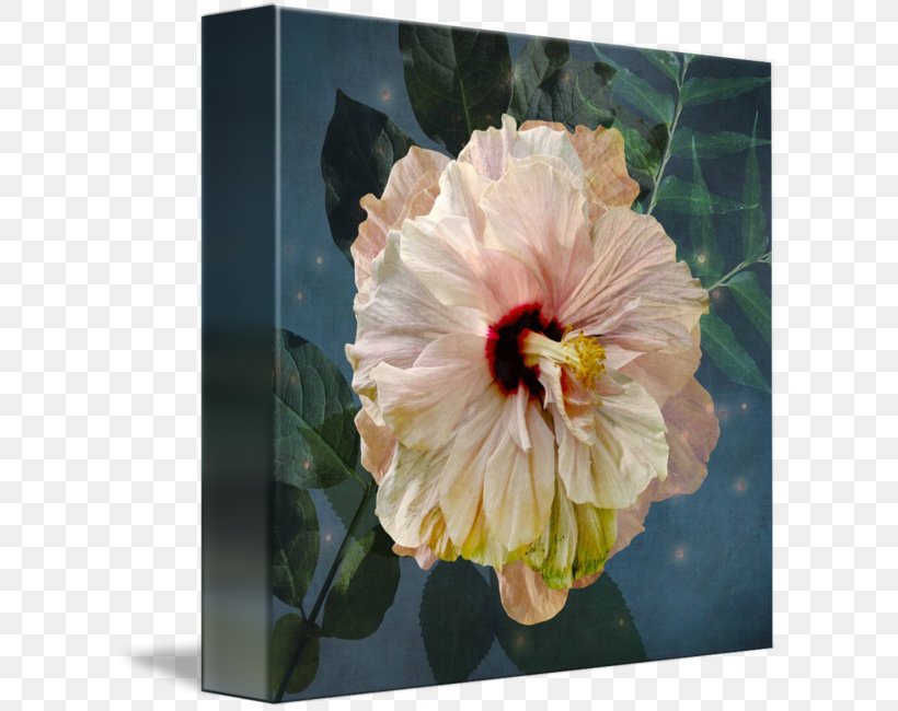 Gallery Wrap Hibiscus Mallows Flowering Plant, PNG, 606x650px, Gallery Wrap, Annual Plant, Art, Canvas, Flower Download Free