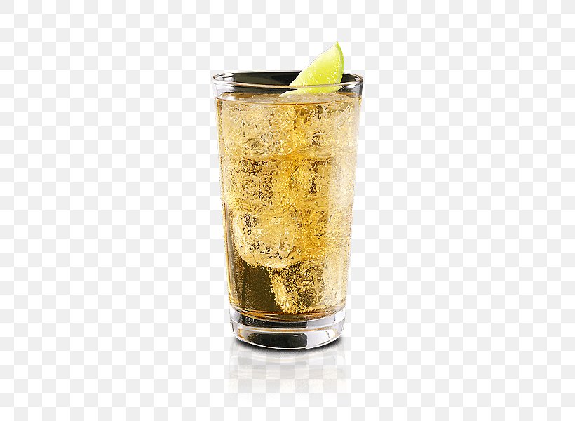 Highball Glass Cocktail Brandy Gin And Tonic, PNG, 660x600px, Highball, Alcoholic Drink, Beer Glass, Brandy, Cocktail Download Free