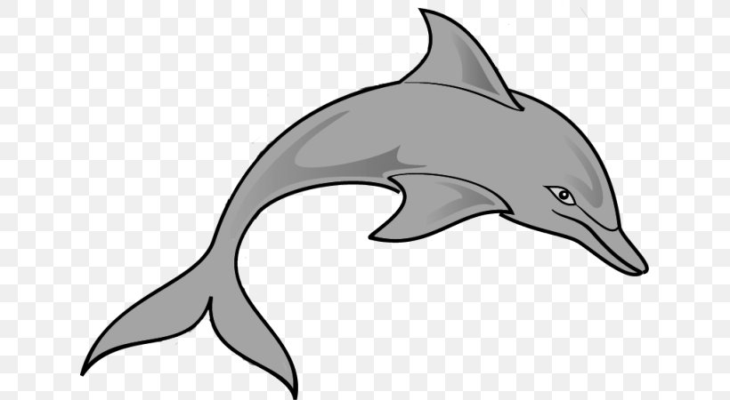 Spinner Dolphin Diving Dolphins All About Dolphins Clip Art, PNG, 639x450px, Spinner Dolphin, All About Dolphins, Beak, Black And White, Bottlenose Dolphin Download Free