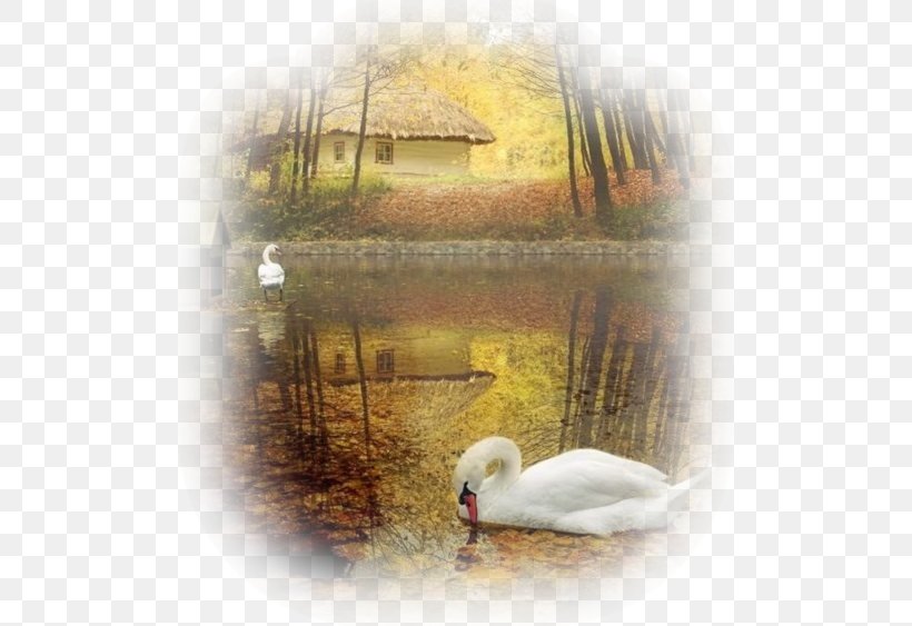 Animaatio Photography Yandex Search, PNG, 500x563px, Animaatio, Animation, Autumn, Beak, Bird Download Free