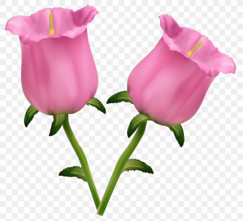 Flower Floral Design Stock Photography, PNG, 6315x5756px, Flower, Bud, Color, Cut Flowers, Drawing Download Free