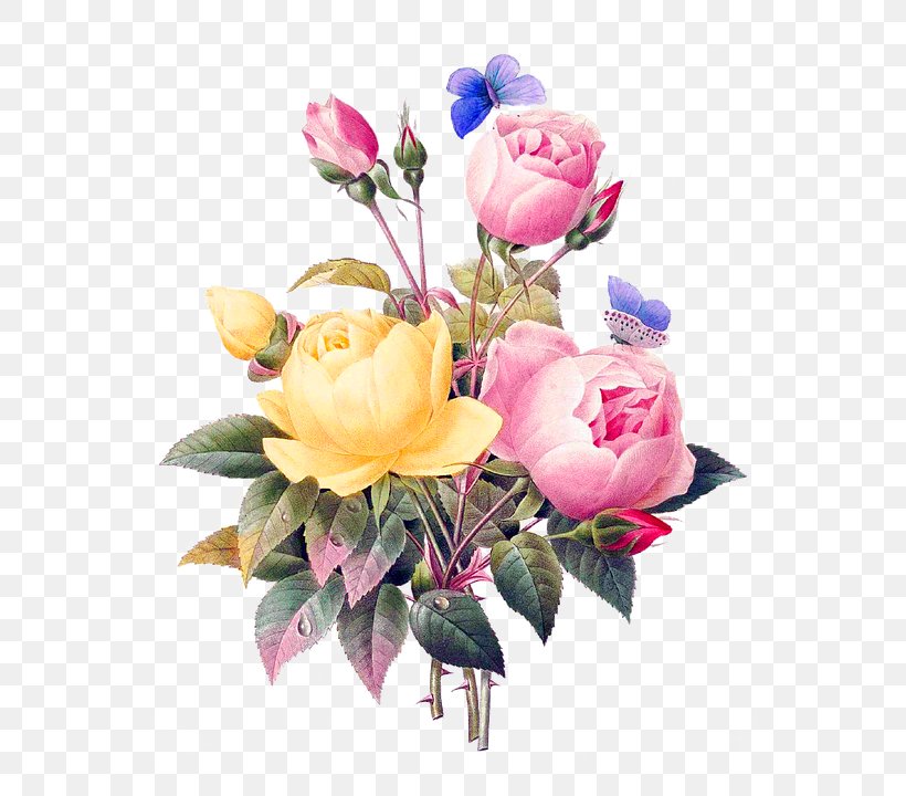 Rose Flower Pierre-Joseph Redouté (1759-1840) Retro Style, PNG, 720x720px, Rose, Antique, Artificial Flower, Botanical Illustration, Botany Download Free