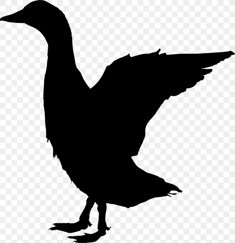 Duck Goose Clip Art Feather Fowl, PNG, 2550x2644px, Duck, Beak, Bird, Ducks Geese And Swans, Fauna Download Free