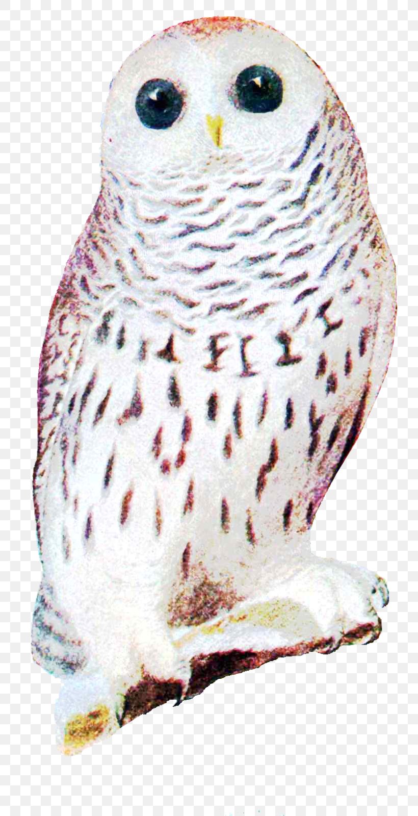 Great Grey Owl Snowy Owl Beak Zazzle, PNG, 797x1600px, Great Grey Owl, Beak, Bird, Bird Of Prey, Iphone Download Free