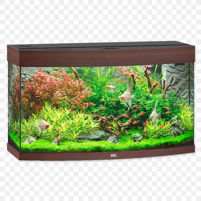 Tropical Aquariums Lighting Tropical Fish, PNG, 1500x1500px, Aquarium, Aquarium Decor, Aquatic Plant, Cabinet Light Fixtures, Cabinetry Download Free