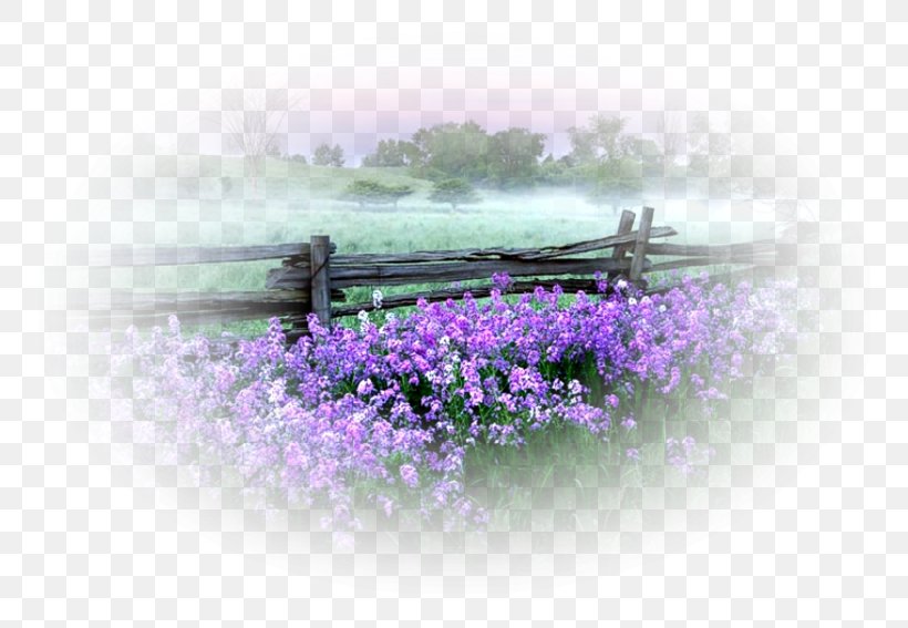 Landscape Image Nature Painting, PNG, 800x567px, Landscape, Flower, Landscape Painting, Lavender, Lilac Download Free