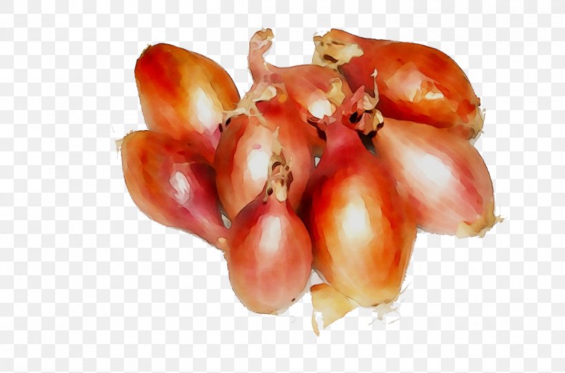 Plum Tomato Shallots Natural Foods Red Onion, PNG, 1468x972px, Plum Tomato, Food, Herbaceous Plant, Ingredient, Local Food Download Free