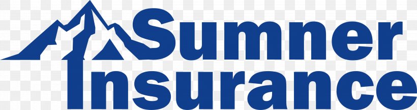Sumner Insurance Services AlphaPixel Reach Com Co Insurance Inc Travel Insurance, PNG, 3205x855px, Insurance, Area, Banner, Blue, Brand Download Free